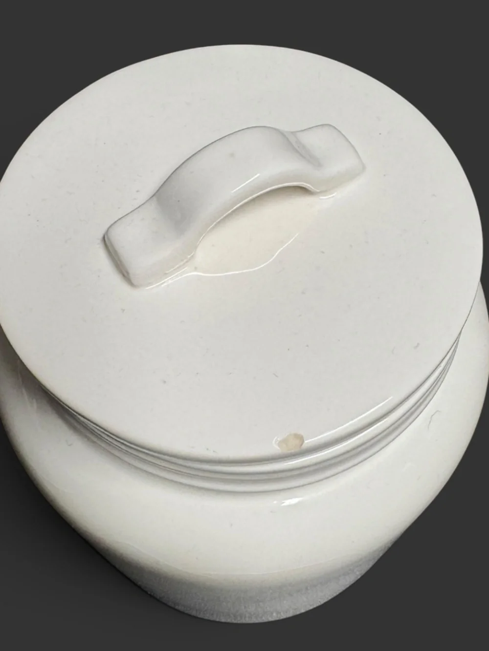 Rae Dunn TEA Large Canister w/Lid Farmhouse